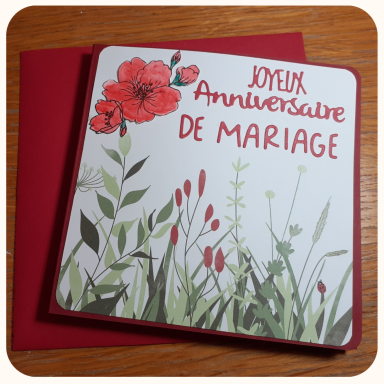 Lire la suite à propos de l’article 25 ans de mariage💕